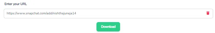 Paste Snapchat URL into BraveDown Snapchat story downloader