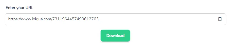 Paste the link into the downloader tool