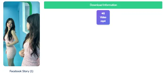 Bấm chuột đánh dấu tuỳ chọn định dạng nét, sau đó nhấp xác nhận tải video bản Facebook Timeline