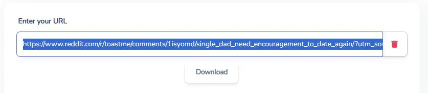 Paste the Reddit link into the downloader